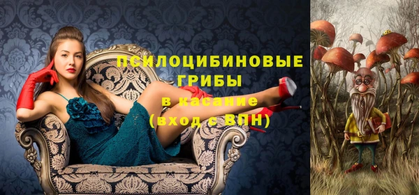 метадон Михайловск