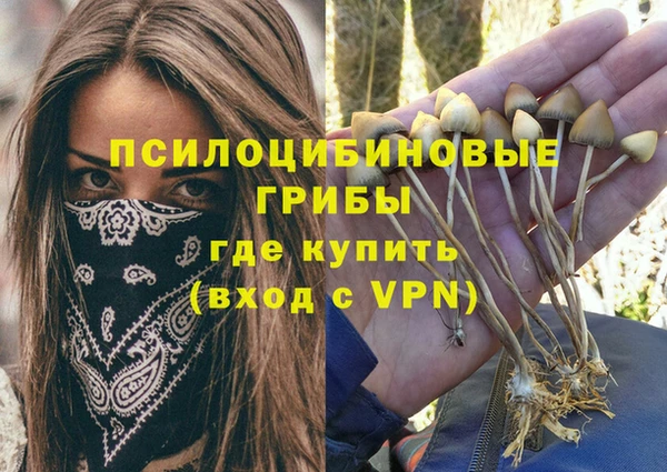 прущий лед Магадан