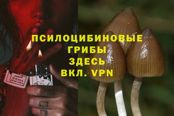 прущая мука Медногорск