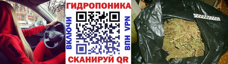 Бошки марихуана тримм  Суворов 